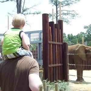 Meet your Posher, Benjamin